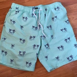 Sea foam blue / green palm tree Forever 21 bathing suit swim trunk shorts.